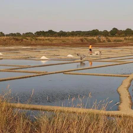 Breton Proche Plages Et Guerande - Terrasse, Velos Inclus, Animaux Bienvenus - Fr-1-306-1268 * Assérac