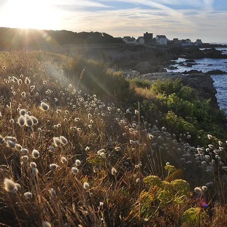 Prázdninový dům Breton Proche Plages Et Guerande - Terrasse, Velos Inclus, Animaux Bienvenus - Fr-1-306-1268 Assérac