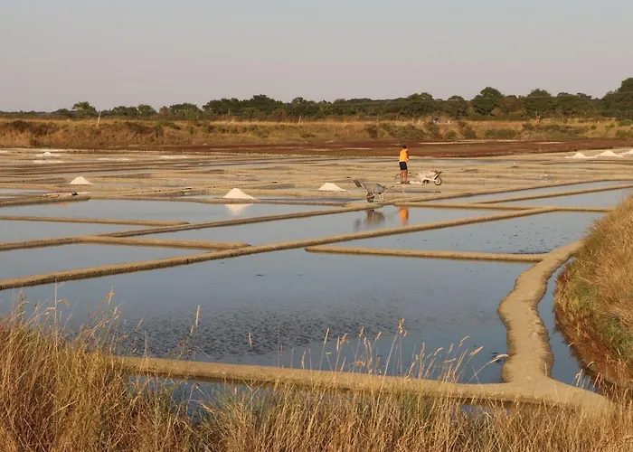 Breton Proche Plages Et Guerande - Terrasse, Velos Inclus, Animaux Bienvenus - Fr-1-306-1268 * Assérac